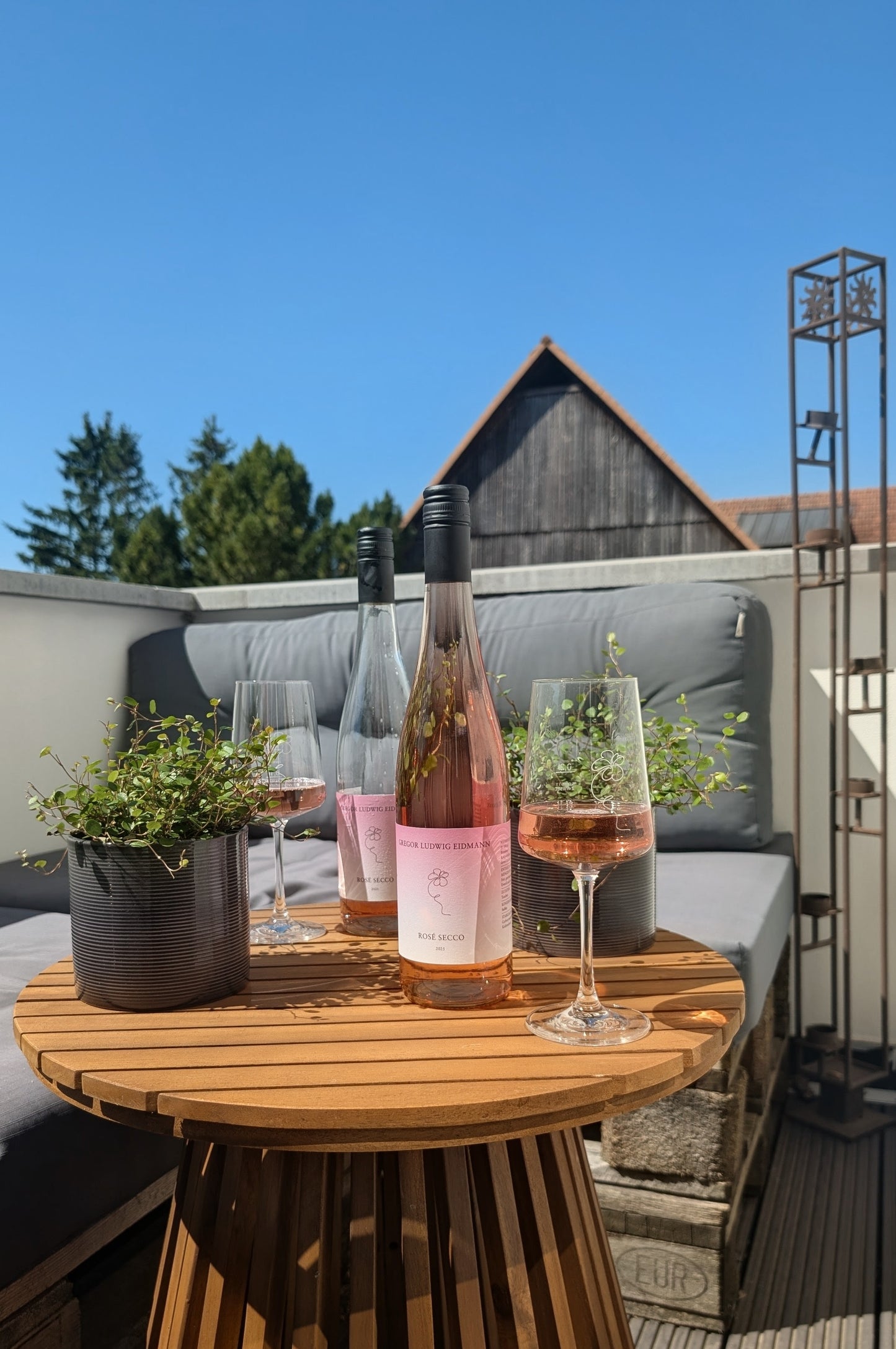 Rosè Secco 2025 extra trocken