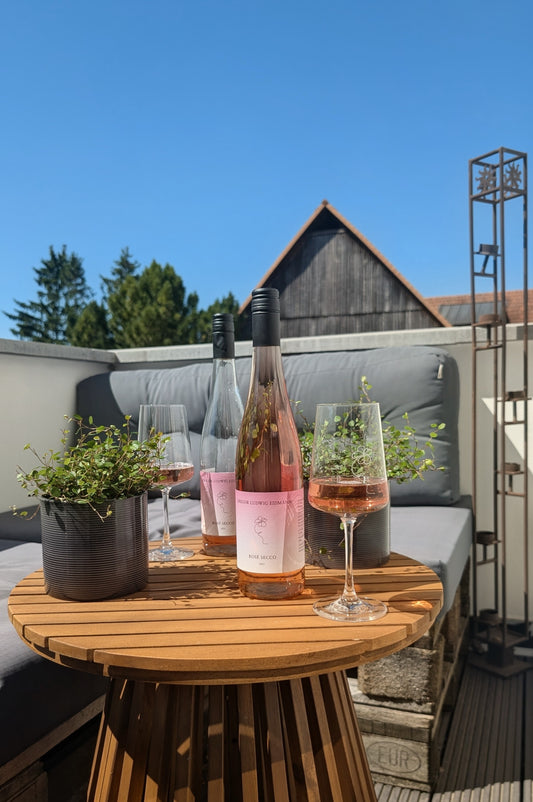 Rosè Secco 2025 extra trocken